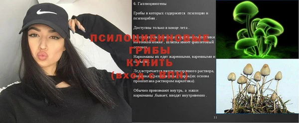 соль ск Верея