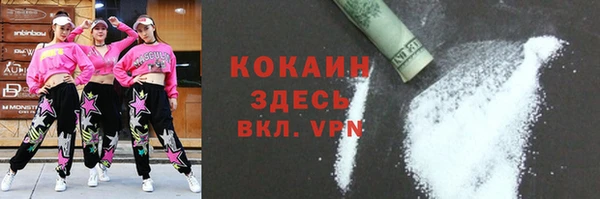 молекула духа Пересвет