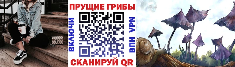 blacksprut как войти  Электроугли  Галлюциногенные грибы Magic Shrooms 